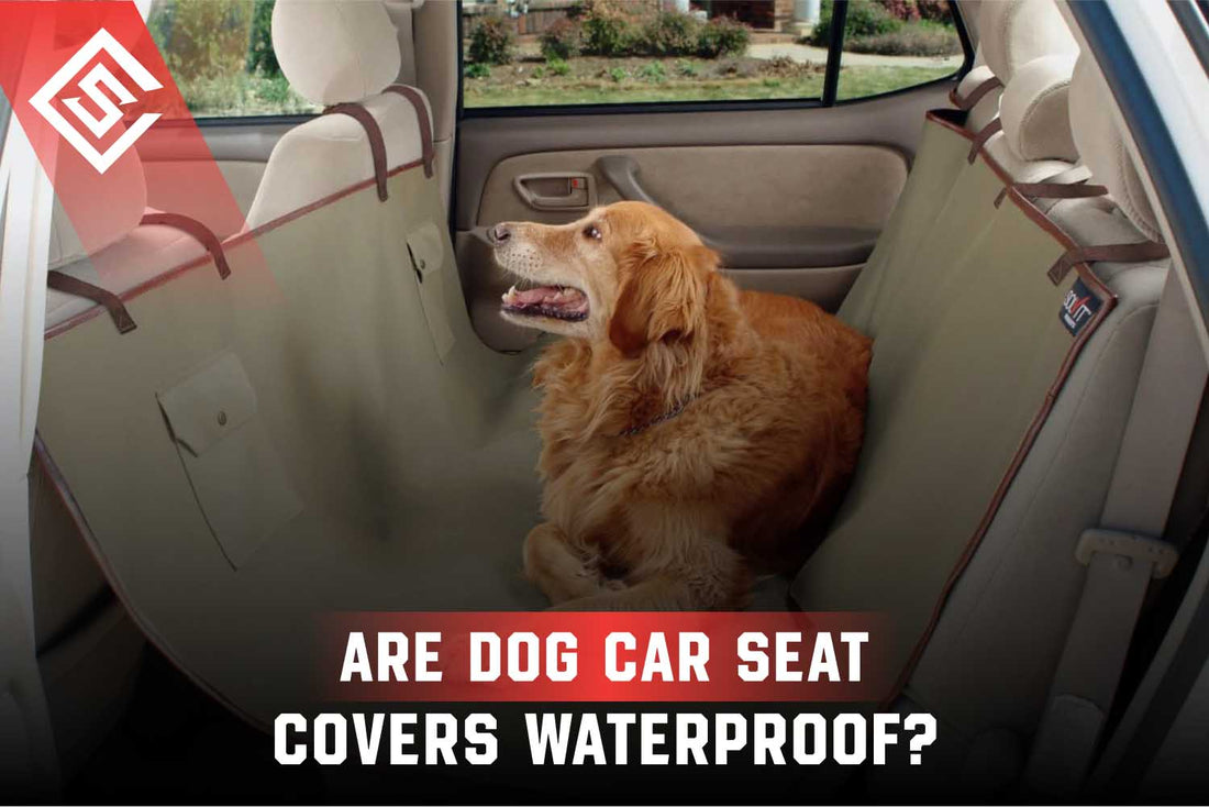 Are Dog Car Seat Covers Waterproof?