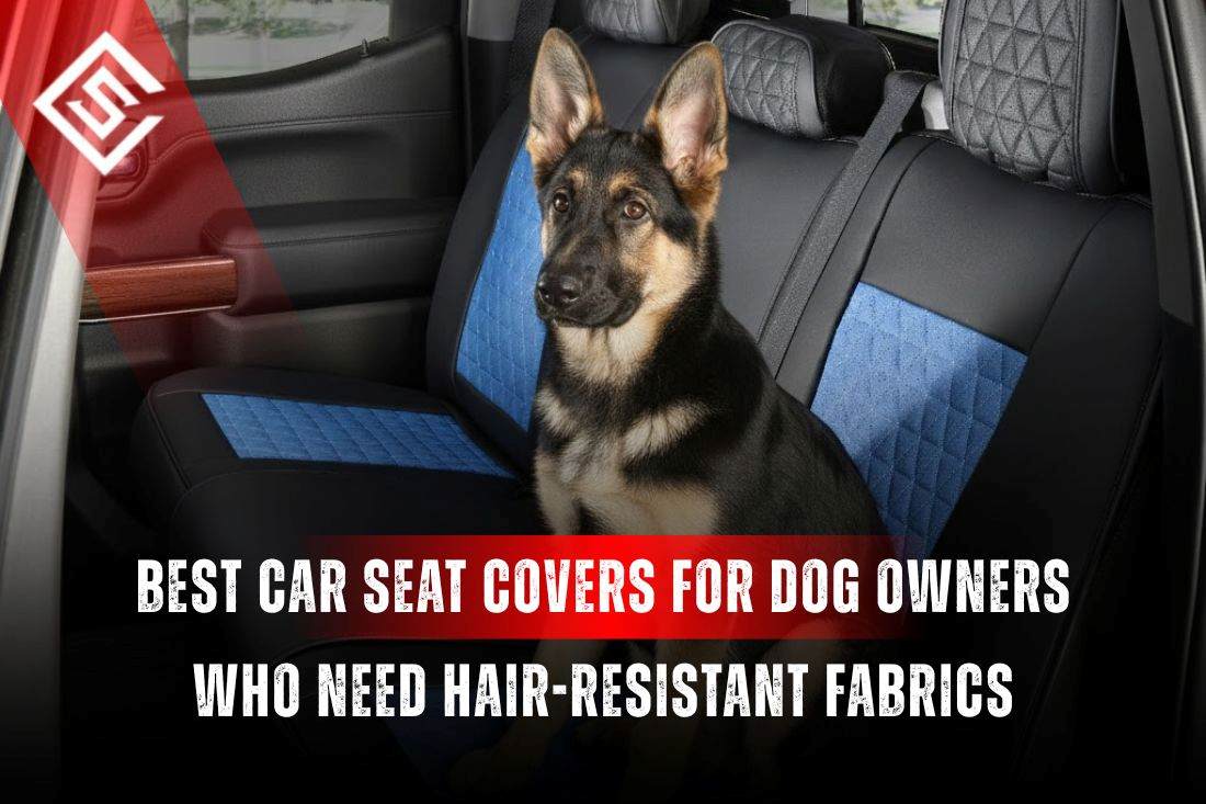 Dog sitting on rear seat with hair-resistant car seat covers designed for dog owners to prevent shedding fur buildup.
