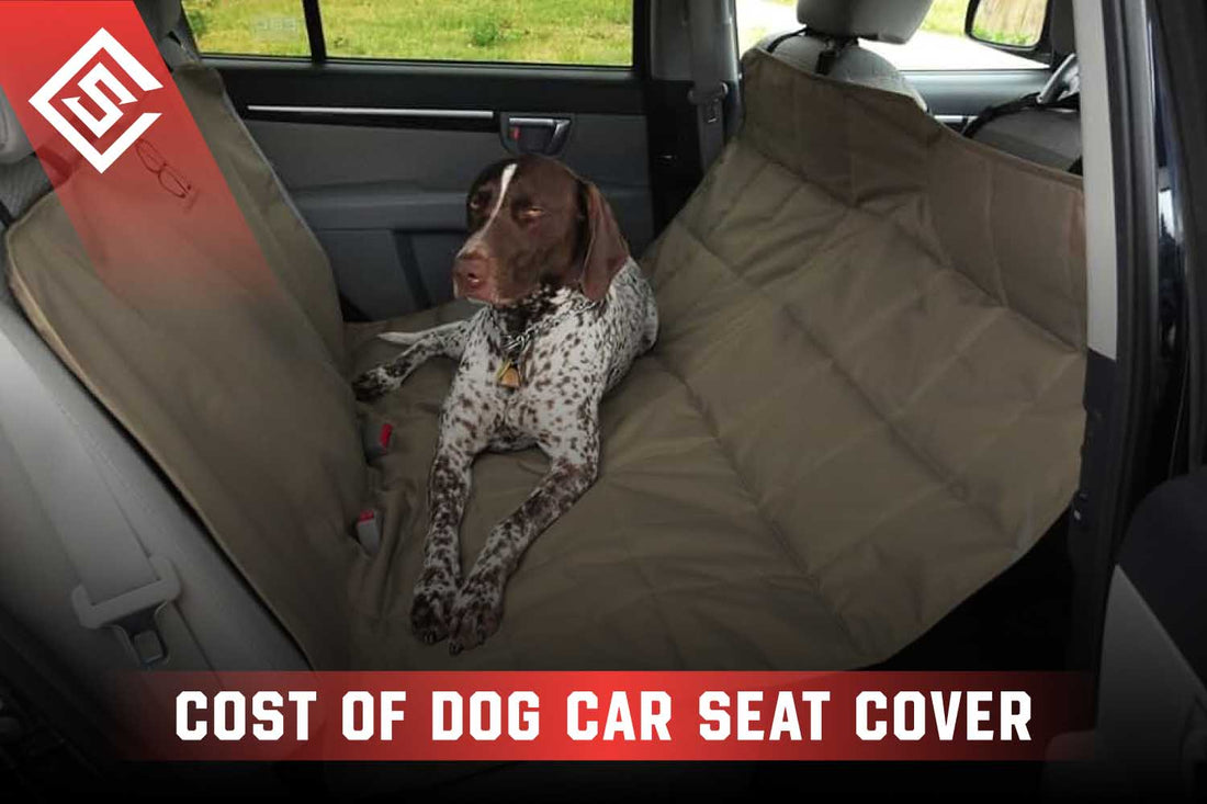 Cost of Dog Car Seat Covers