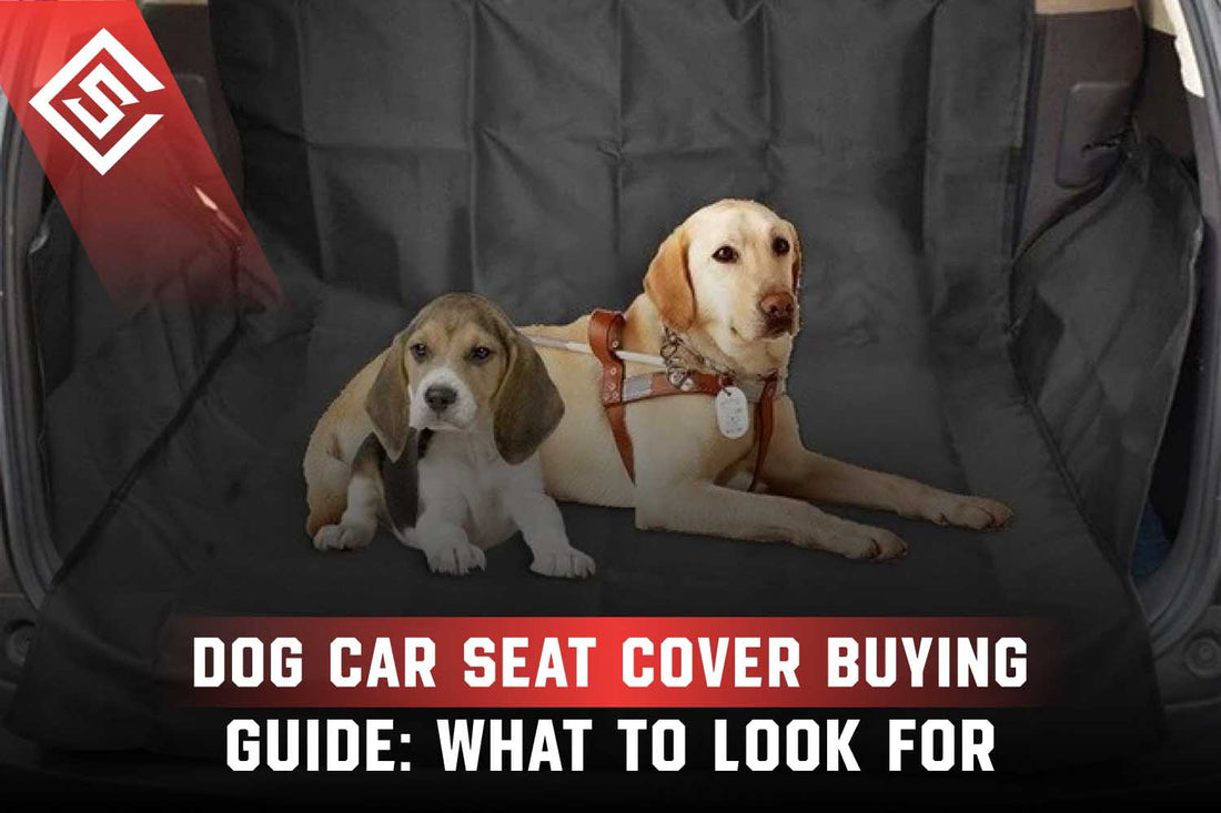 Dog Car Seat Cover Buying Guide