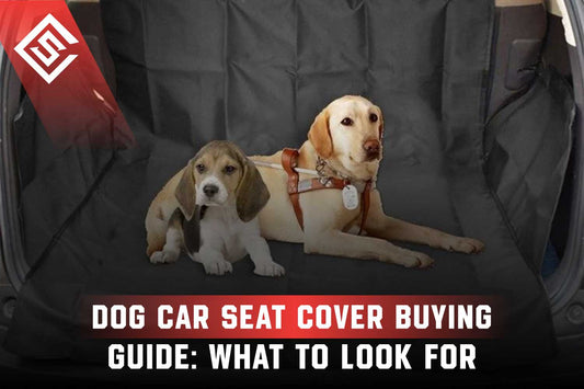 Dog Car Seat Cover Buying Guide