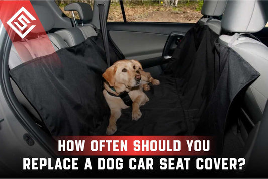 How Often Should You Replace a Dog Car Seat Cover