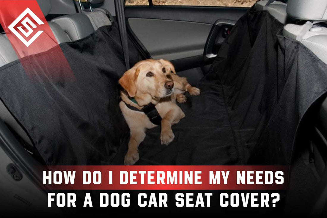How to Determine Your Needs for a Dog Car Seat Cover?