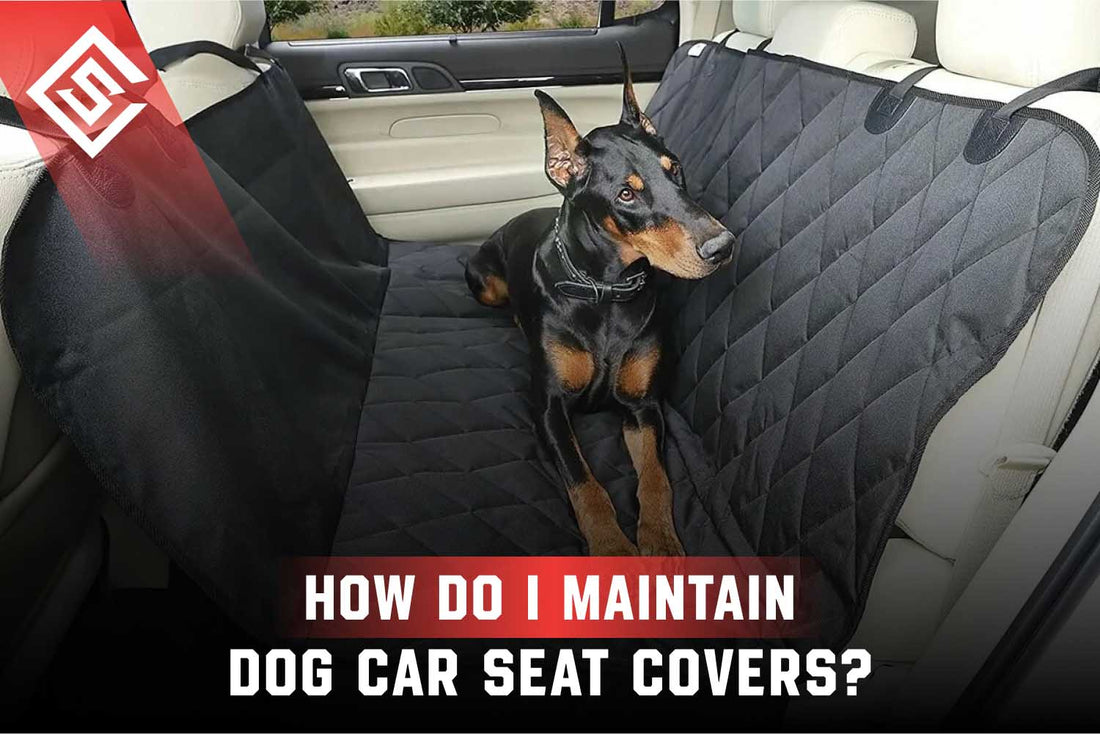 How Do I Maintain Dog Car Seat Covers?
