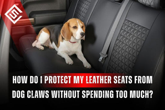 Dog resting on car leather seat highlighting the need to protect leather seats from dog claws using durable seat covers.