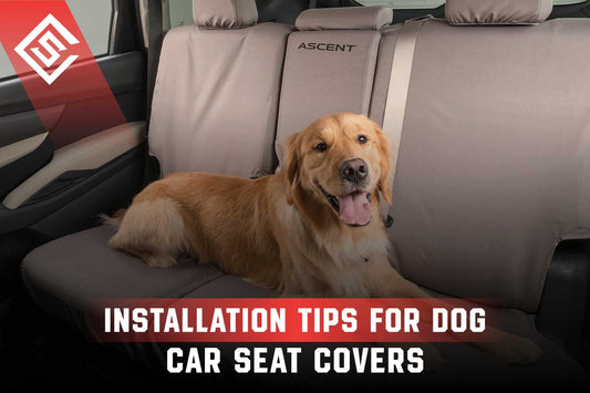 Installation Tips for Dog Car Seat Covers