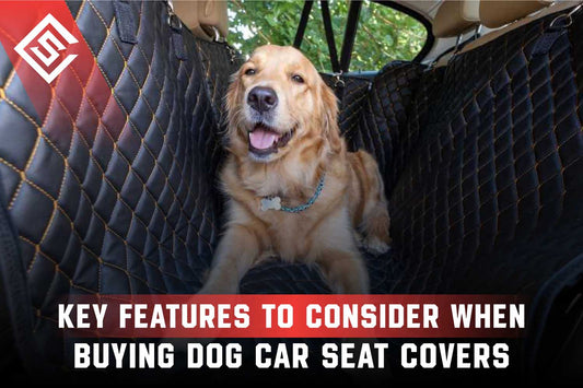 Key Features to Consider When Buying Dog Car Seat Covers