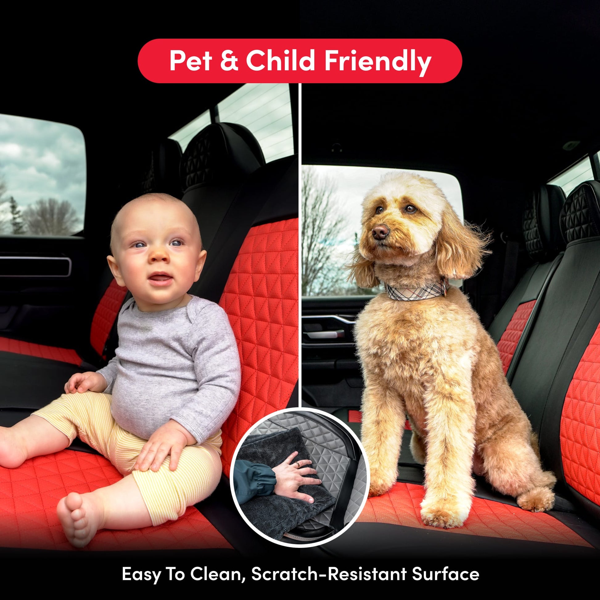#Your Pet and Child Friendly - All